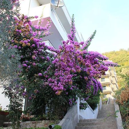 4M Apartments Petrovac Zewnętrze zdjęcie