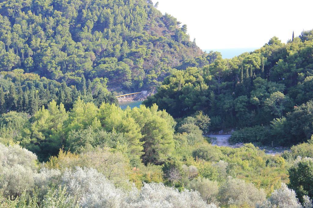 4M Apartments Petrovac Pokój zdjęcie